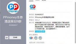 ppmoney最新爆料,揭秘金融科技巨头背后的秘密与挑战”